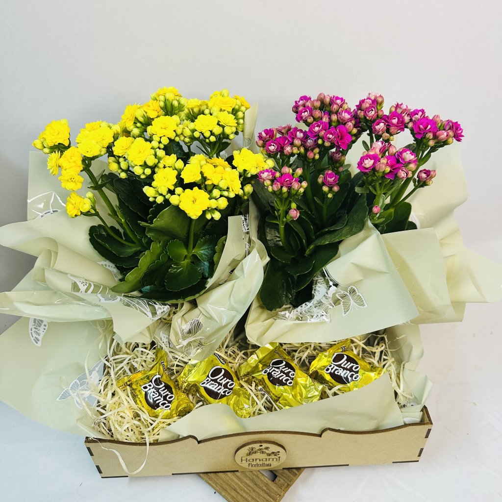 Box - Doces Fortunas