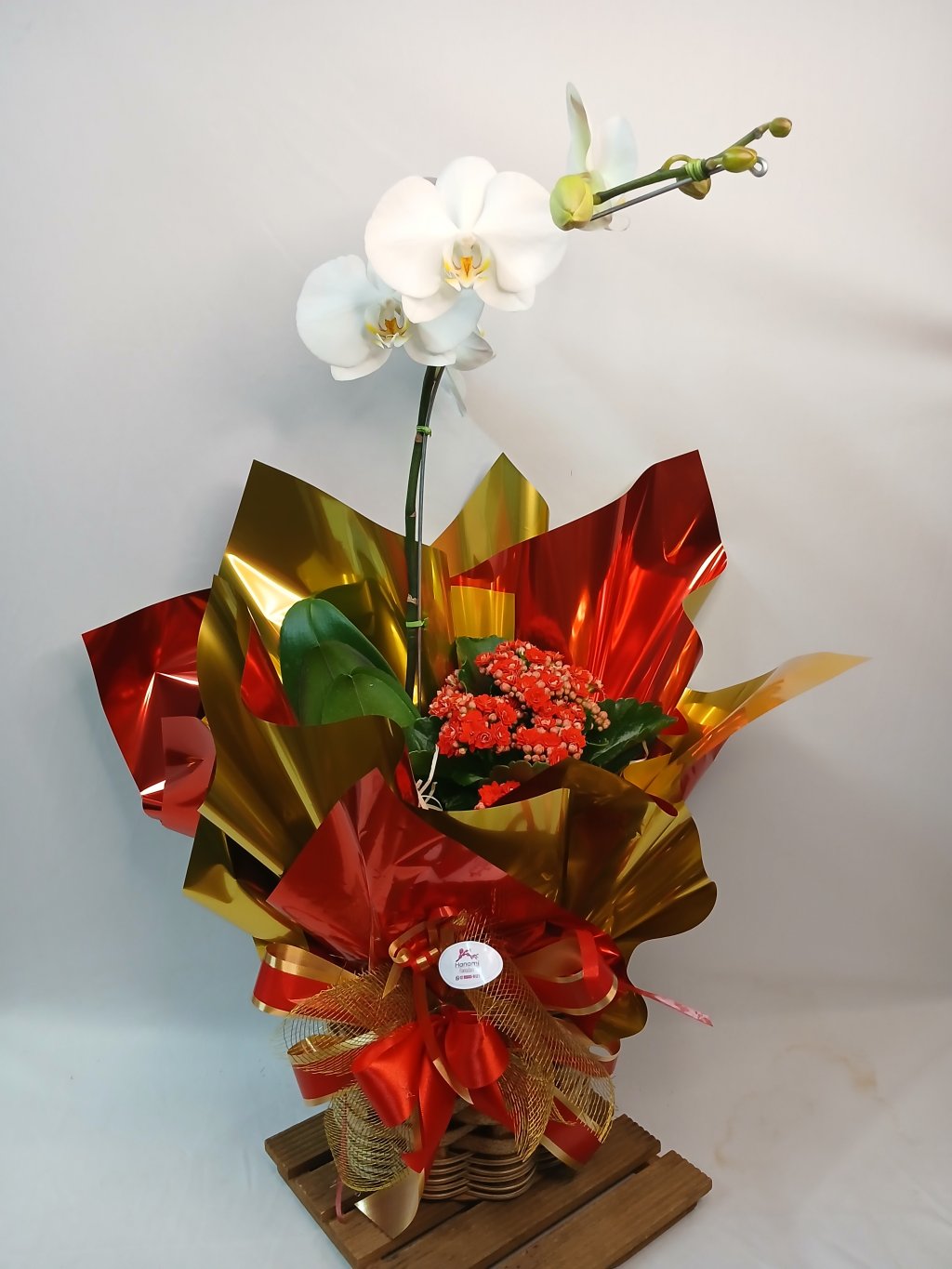 Cach Mad Orquídea +Kalanchoe