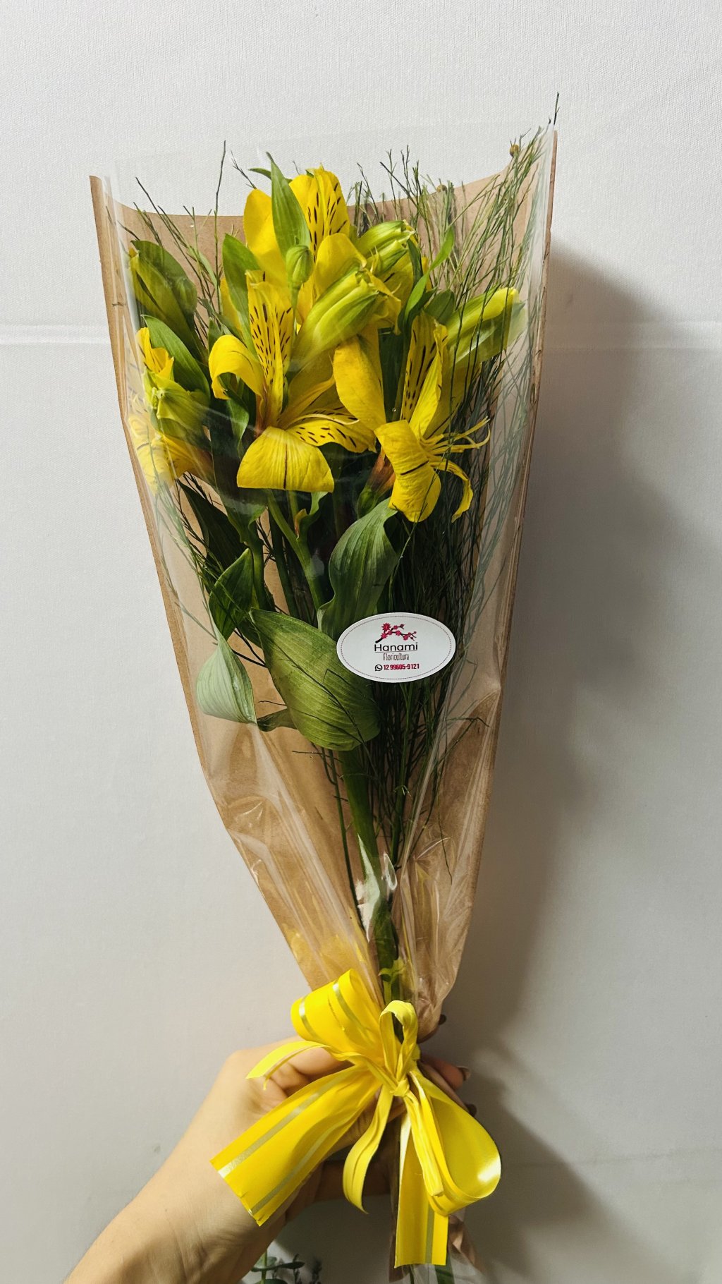 Astromelia Individual