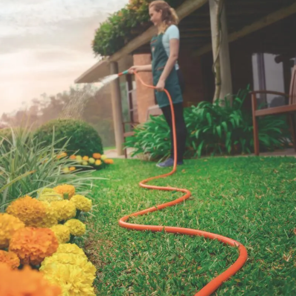 MANGUEIRA JARDIM 20M 