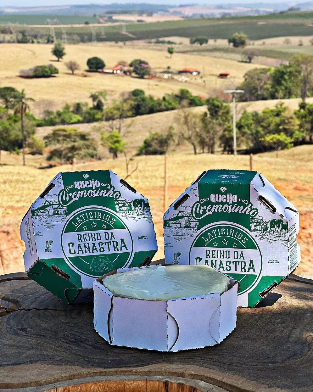 Queijo Cremosinho 