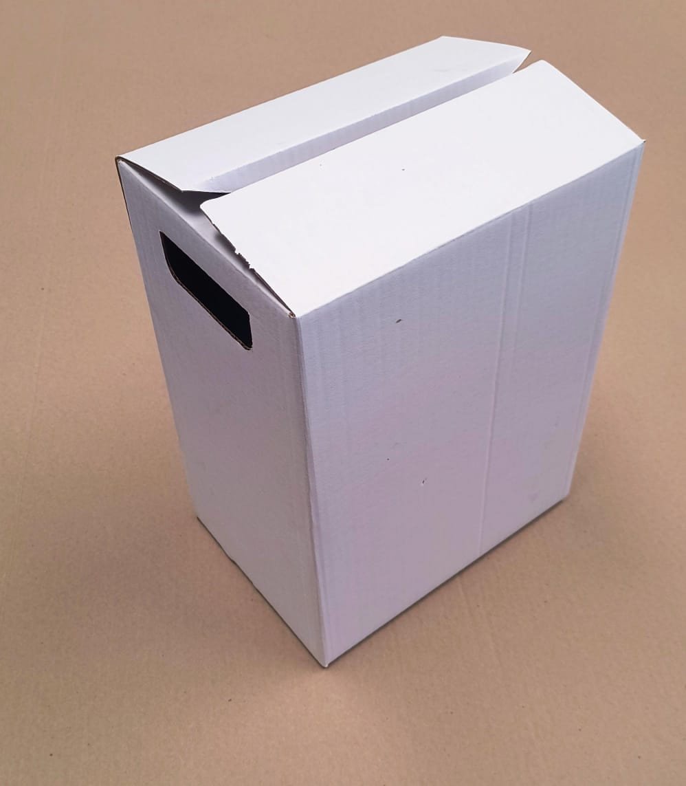 CAIXA COM ALÇA (CCA148) 23 x 17 x 30,5