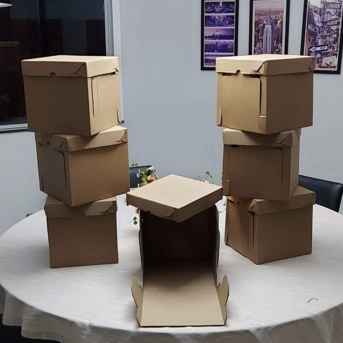 Caixa Bolo (CBK119) 25X25X25cm