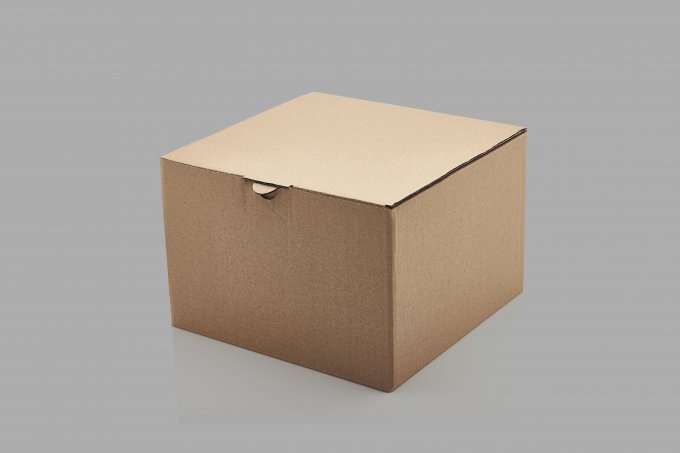 Caixa Modelo Sedex (SD54.1) 12X12X8cm