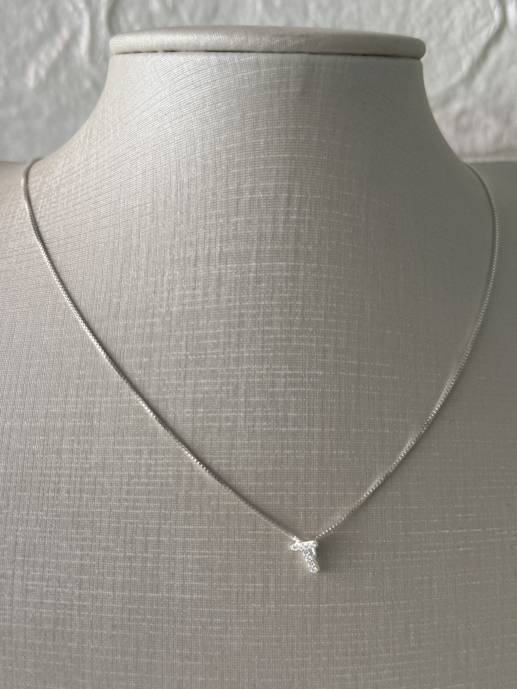 COLAR LETRA T CRAVEJADA 45CM 