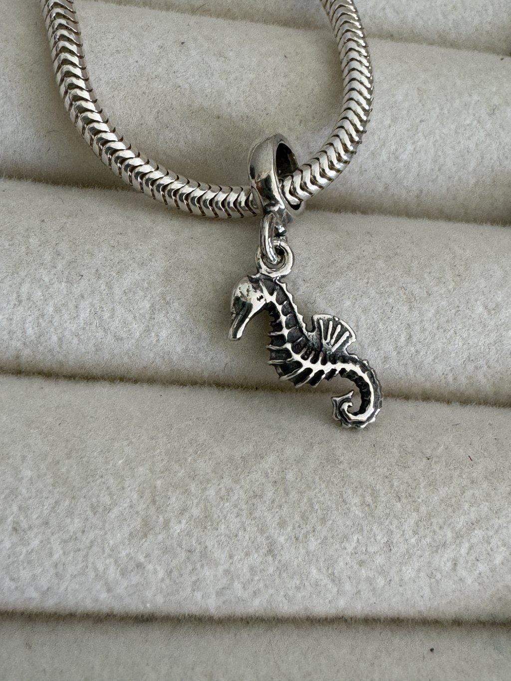 BERLOQUE CAVALO MARINHO 