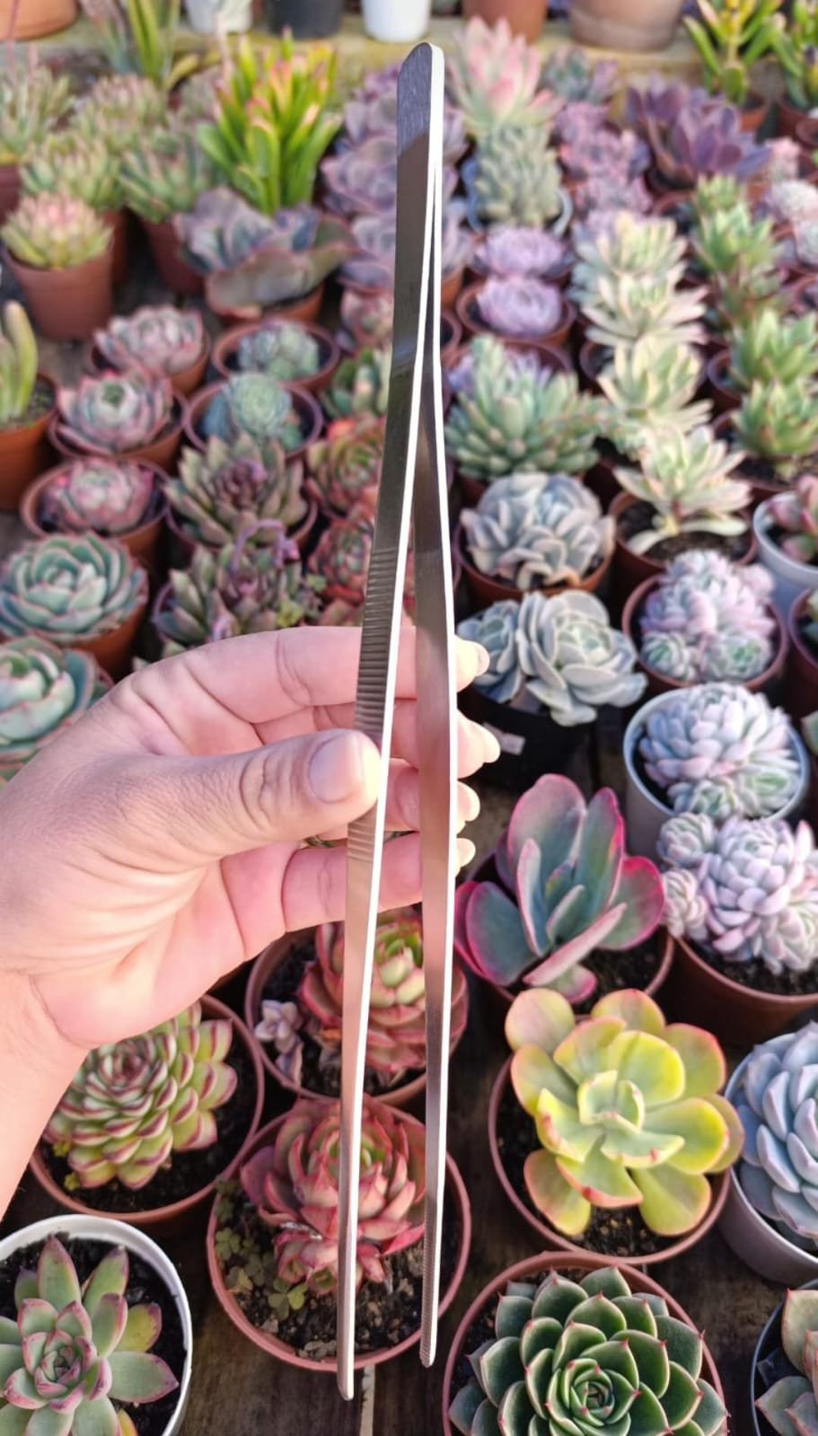 Pinça de manutenção 