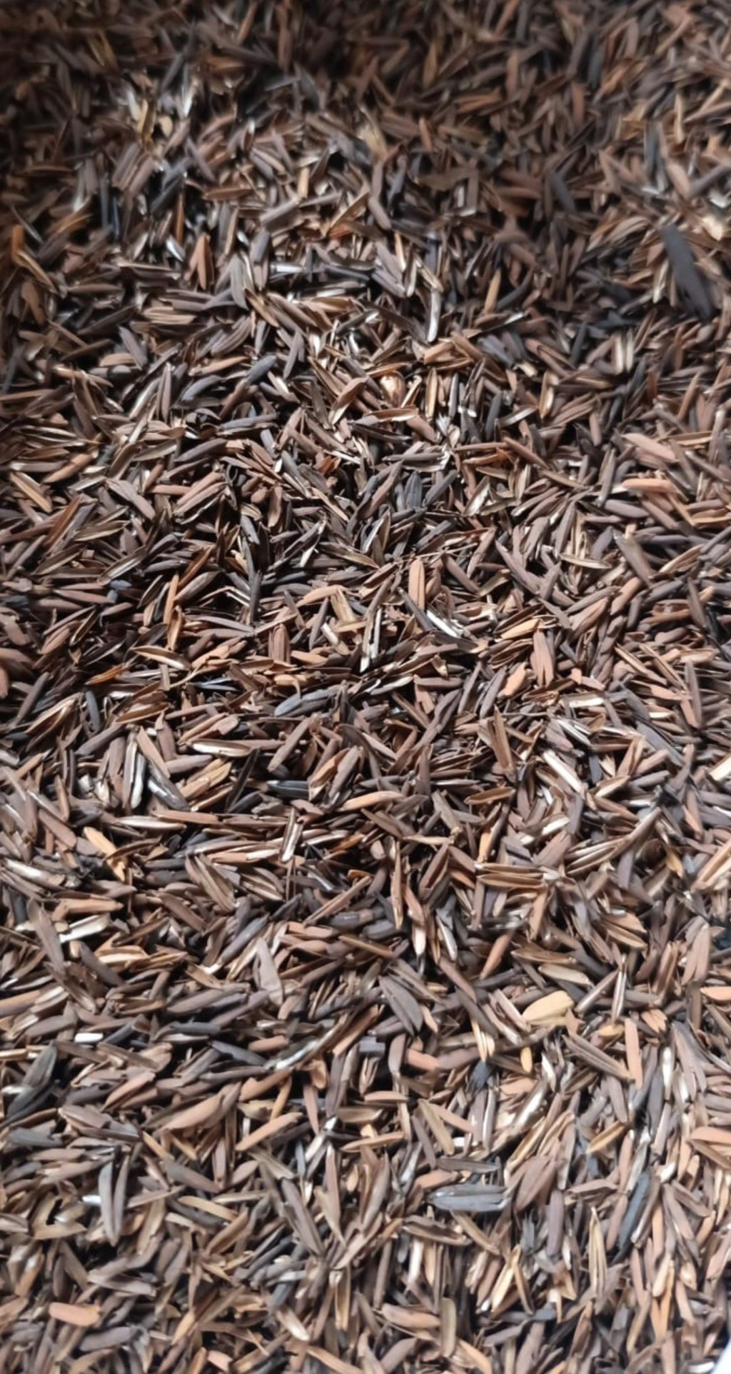 Casca de arroz carbonizada 