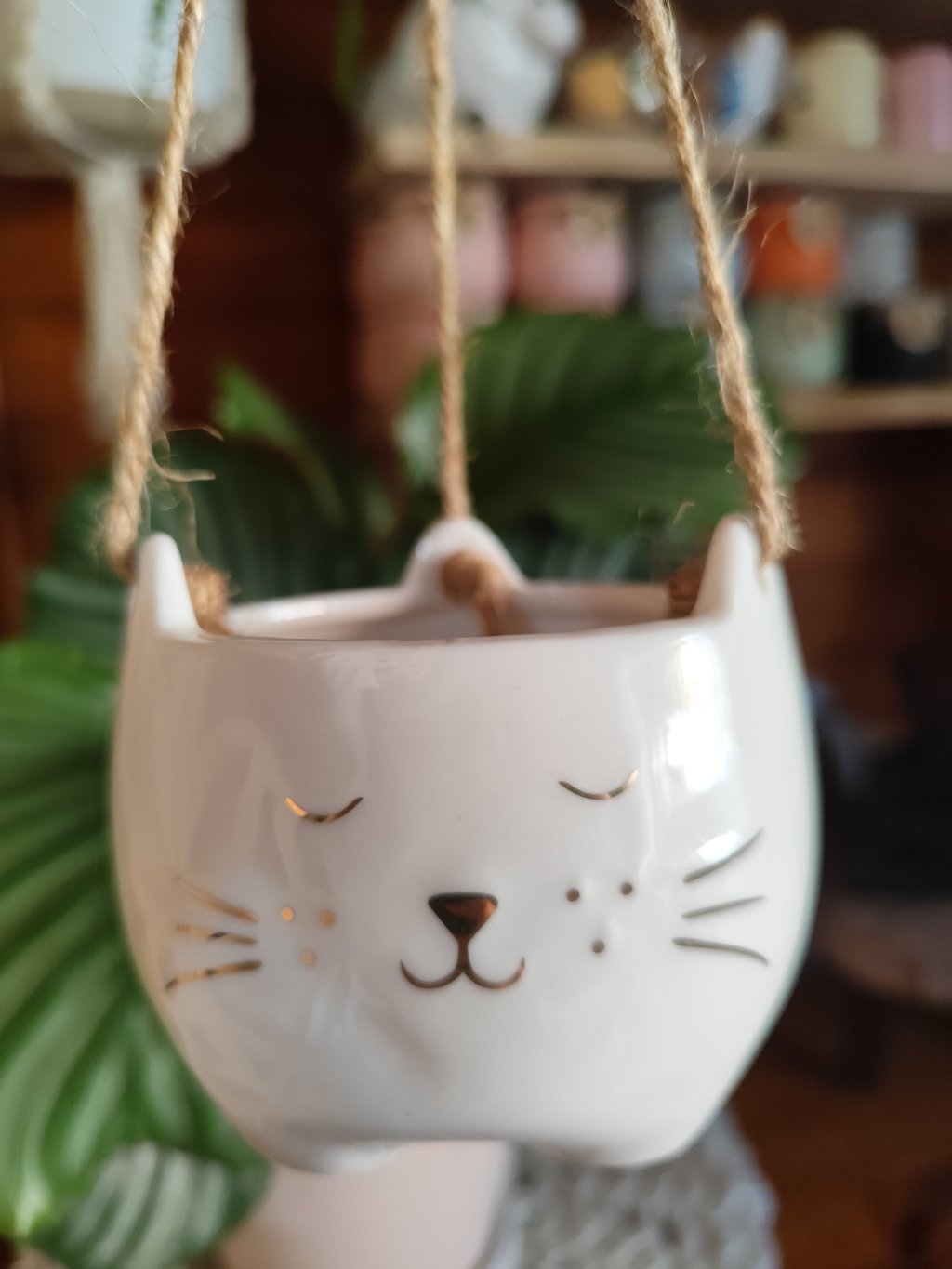 Vaso gatinho bigode dourado 