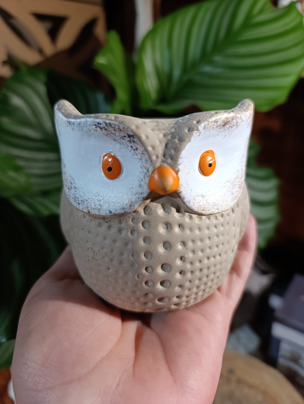 Corujinha olhos laranja 🧡