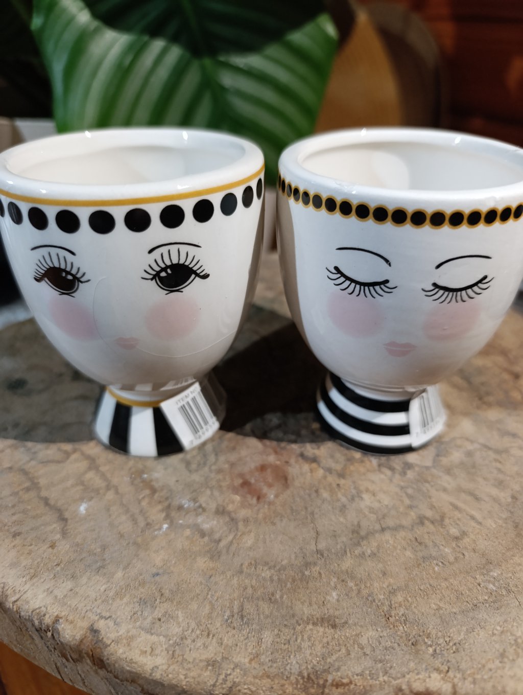  Dupla Vaso rostinho delicado (preto)