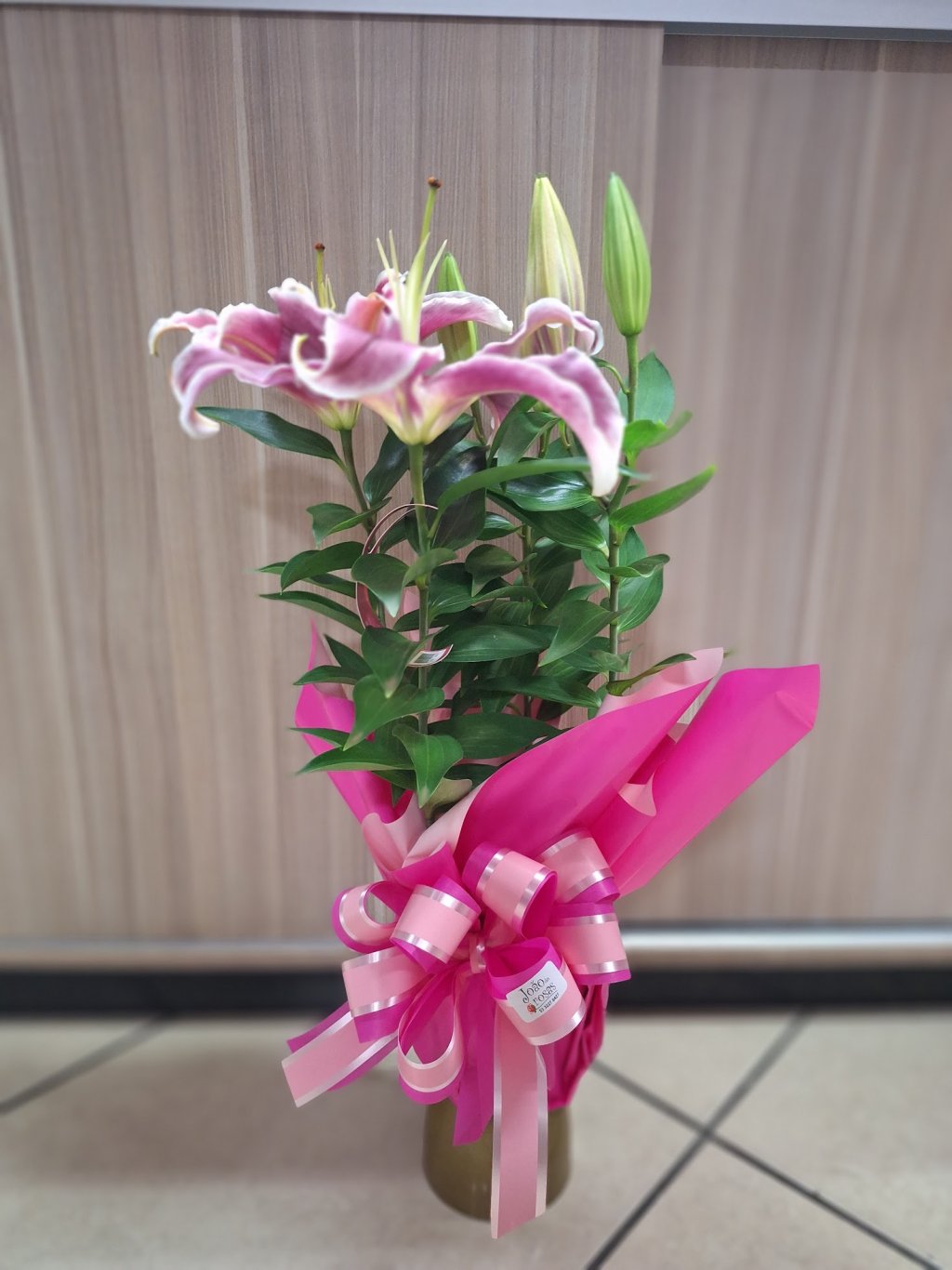 Lírio Oriental Enfeitado (ROSA / BRANCO)