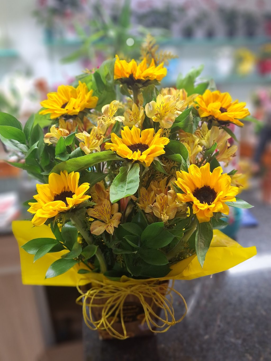 Sol em Flor
