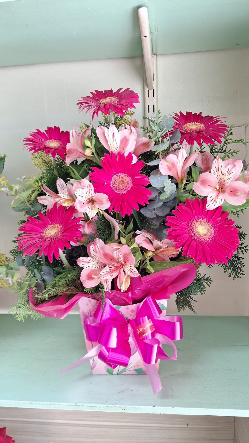 Equibana - Glamour Pink