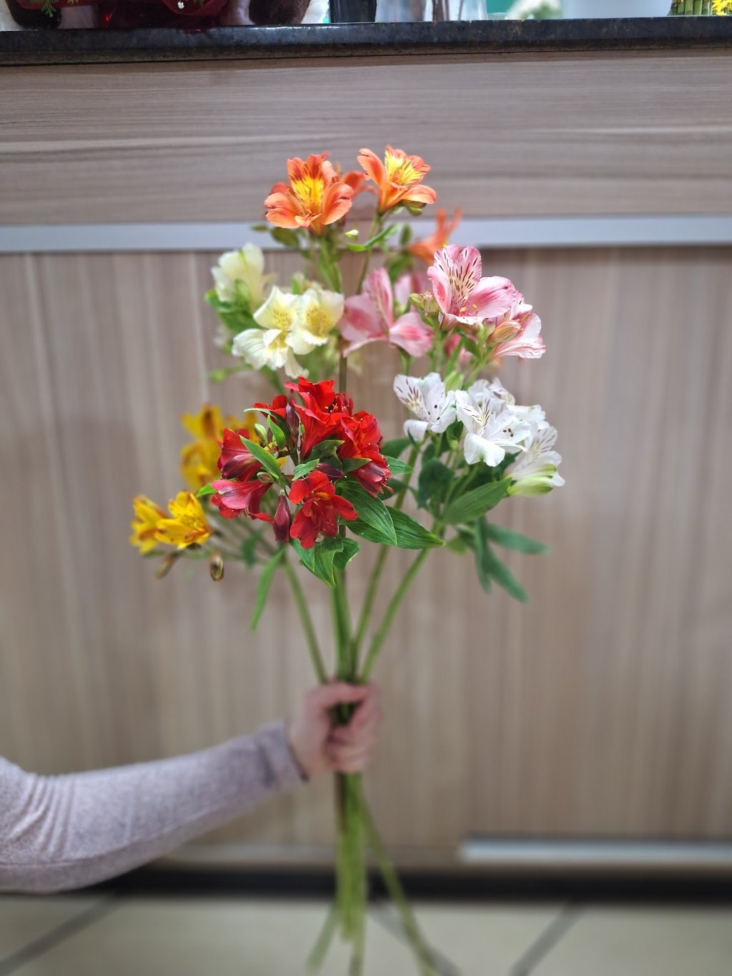 Alstroeméria unidade