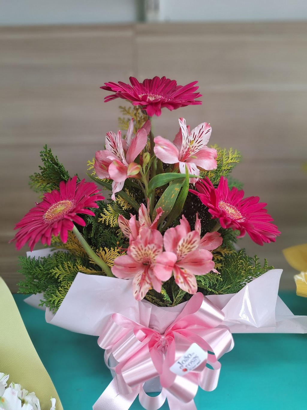 Mini Equibana - Glamour Pink