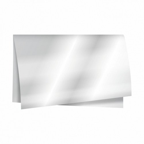 POLI LISO 70CMX65CM 100FLS INCOLOR 10116