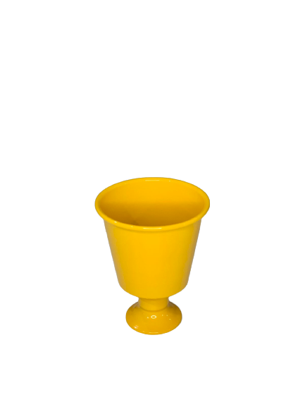DELICAT POTE 11 061732