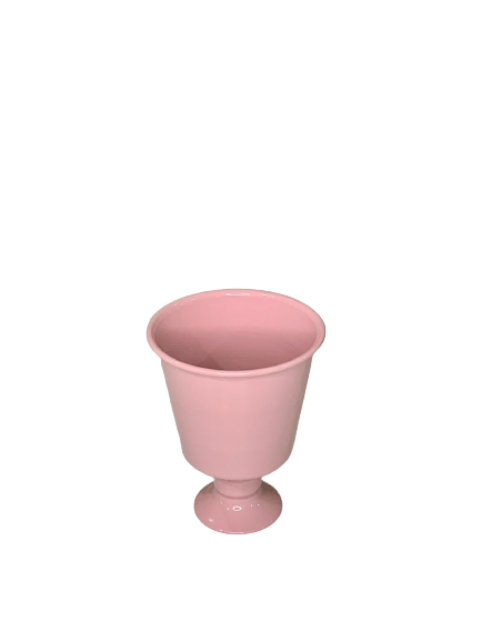 DELICAT POTE 11 061732