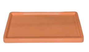 BANDEJA RETANGULAR BD-R 30X18 PAPAYA 861043 - SO BOLEIRAS