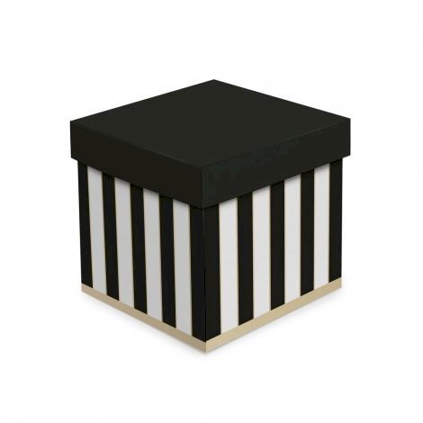 CX CUBO JIMMY M 15X15X15 13004040 122763