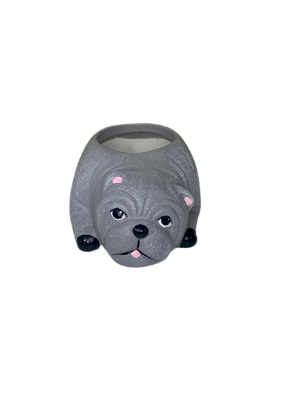 BULDOGUE SUCULENTA 12CM 2100 323048