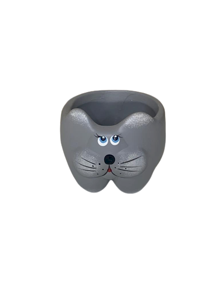 GATO SUCULENTA 7CM 1915 321143