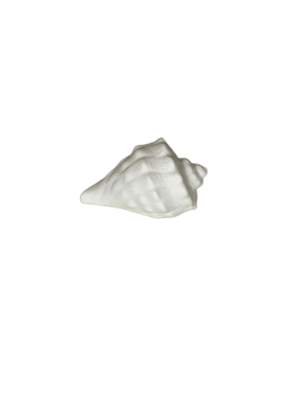 CERAMICA CONCHA LUMINOSA 07CM A125 000186