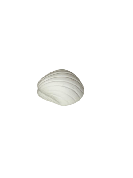 CERAMICA CONCHA LUMINOSA 09CM A185 000193