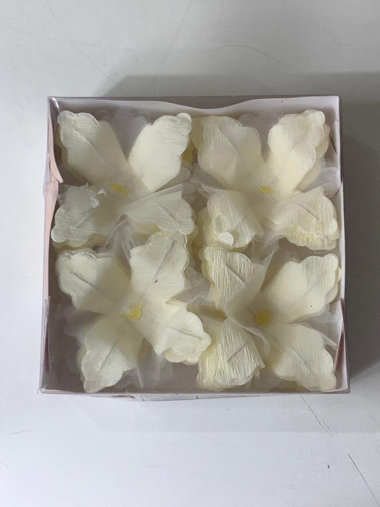 FORMA BEGONIA LISO CHAMPANHE 705813