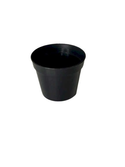 PLASTICO VASO POTE 81308 (PRETO T7) 6X7CM - 7307 973073
