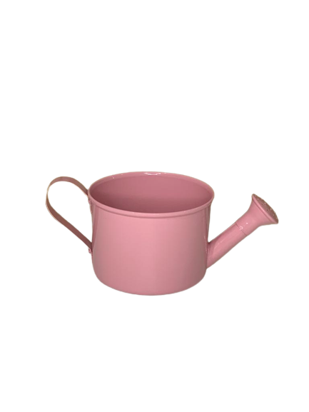 REGADOR MEDIO 9X12CM DECORATIVO TIPO A 23 573666