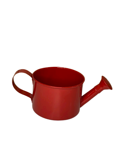 REGADOR MEDIO 9X12CM DECORATIVO TIPO A 23 573666 857564