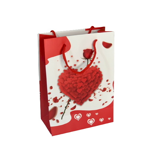 SACOLA DE PAPEL PARA PRESENTE 242894