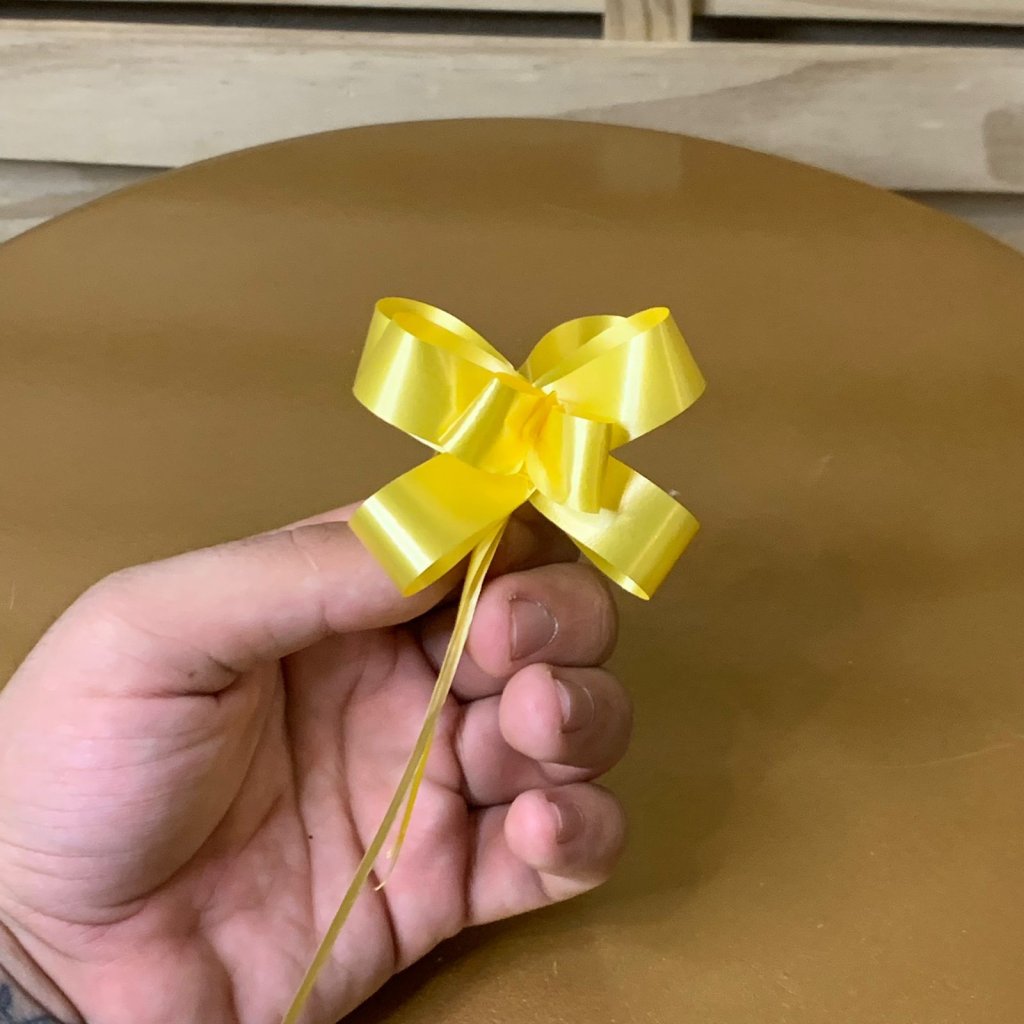 LACO FACIL 18MM LISO 10UN AMARELO 641031
