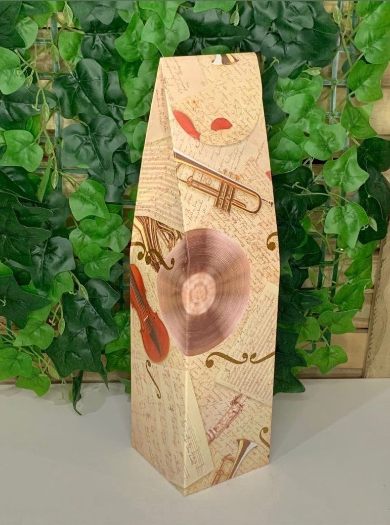 CX. MALETA GARRAFA 10X10X40CM 575301