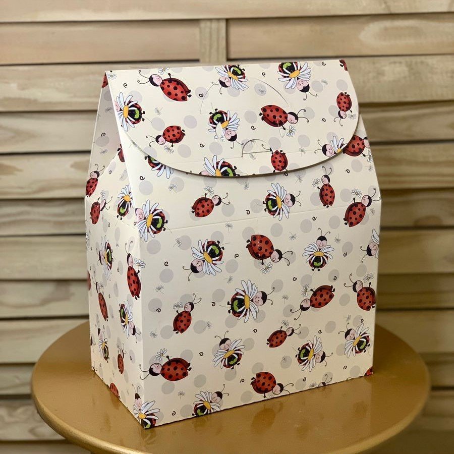 CX MALETA GRANDE 24X13,5X31 CMS 597631