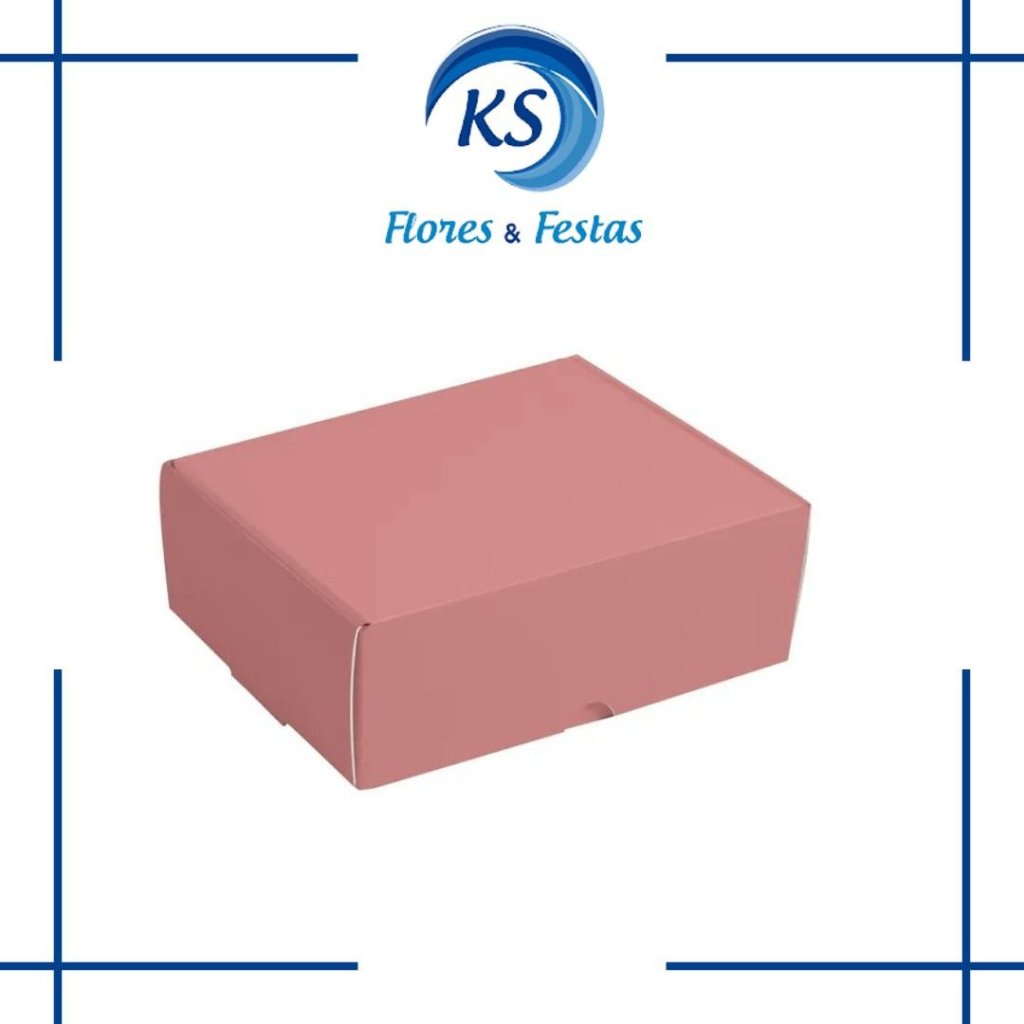 CX P/8 BRIGAD ROSA CHA 17X10,6X4,5 C/10 465321 13006198