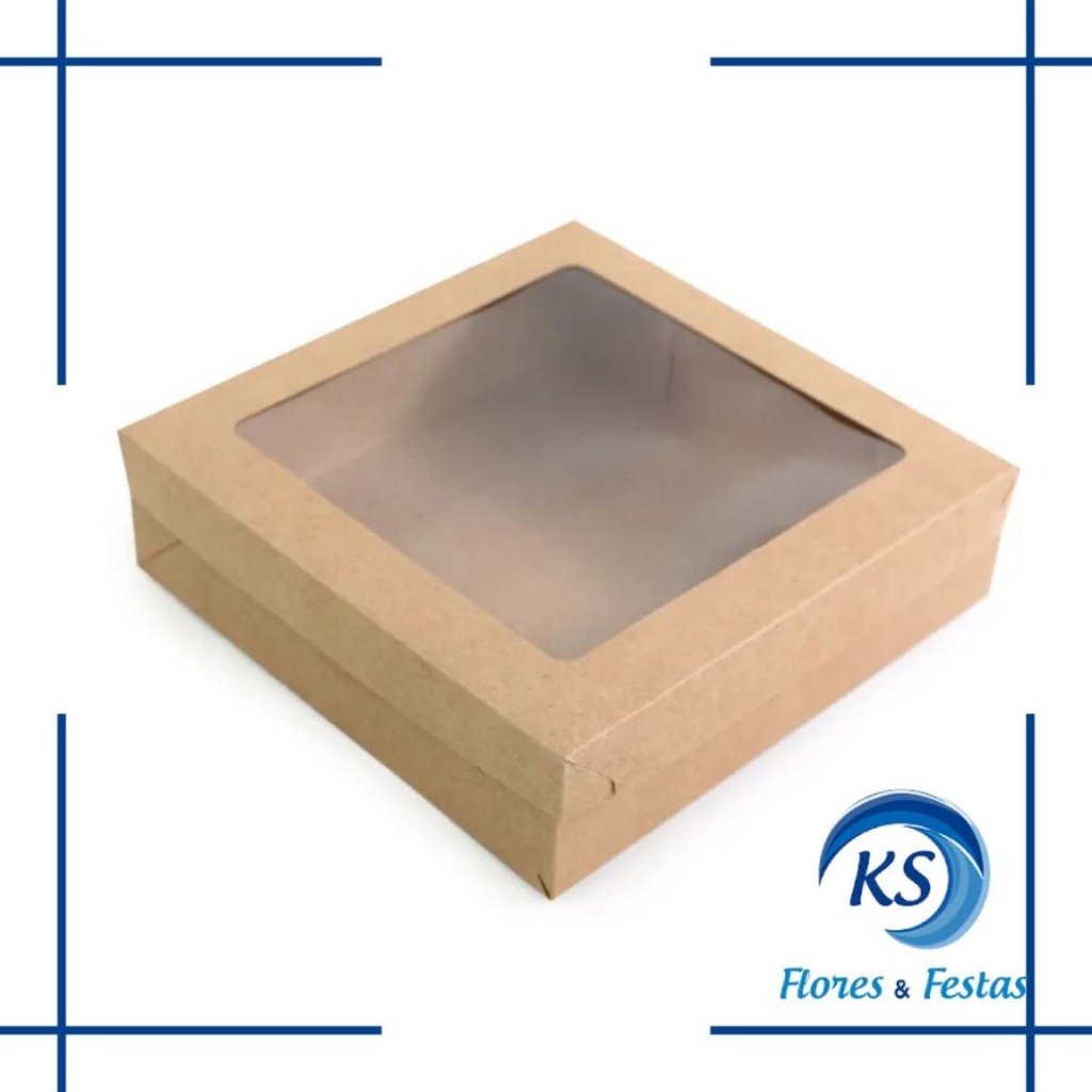 CX QUADRADA C/VISOR KRAFT P 22X22X6 C/10UNDS 13006104 461323