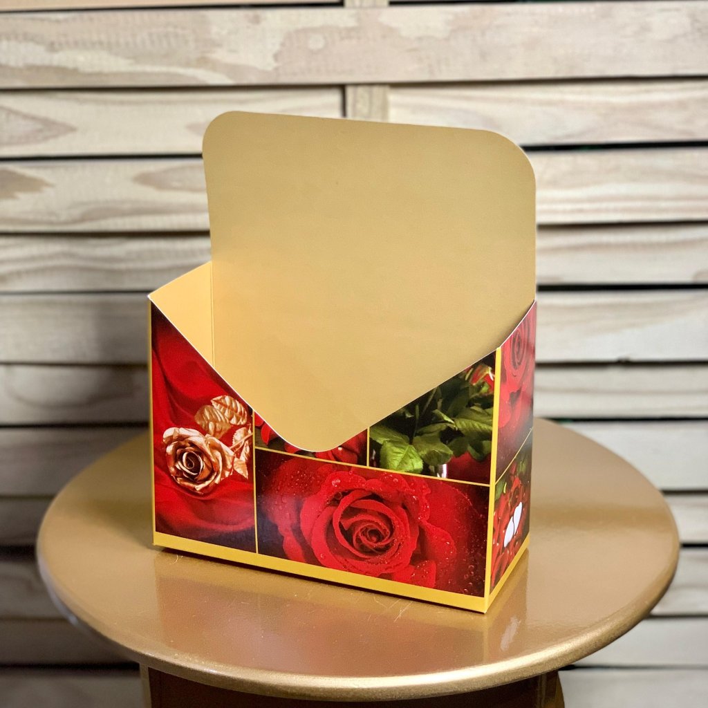 CAIXA ENVELOPE 24,7X20,5X8,5CM PCT C/4 VALENTINA 006959