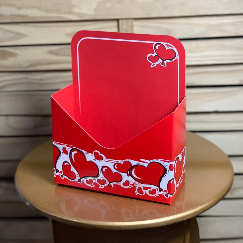 CAIXA ENVELOPE 24,7X20,5X8,5CM PCT C/4 ZOE 006973