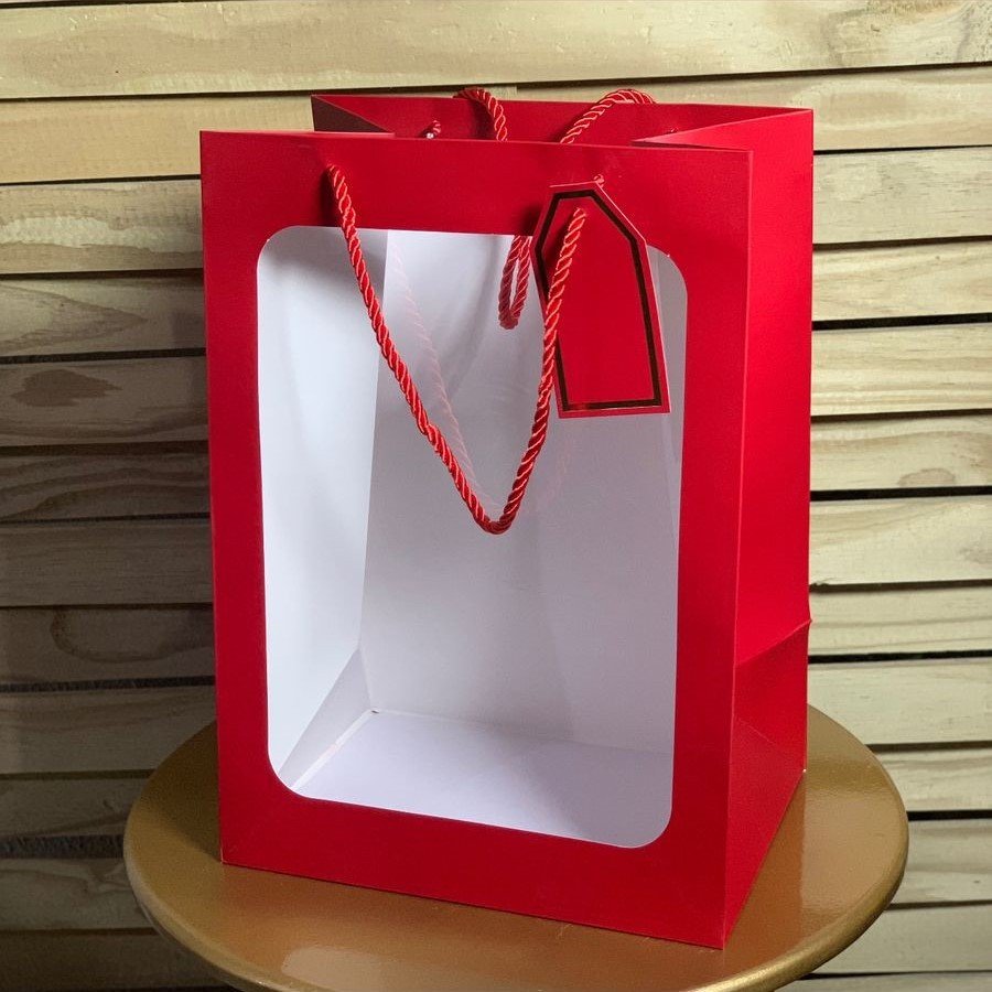 SACOLA PARA PRESENTE DE PAPEL 35X25X18CM SORTIDA 501751