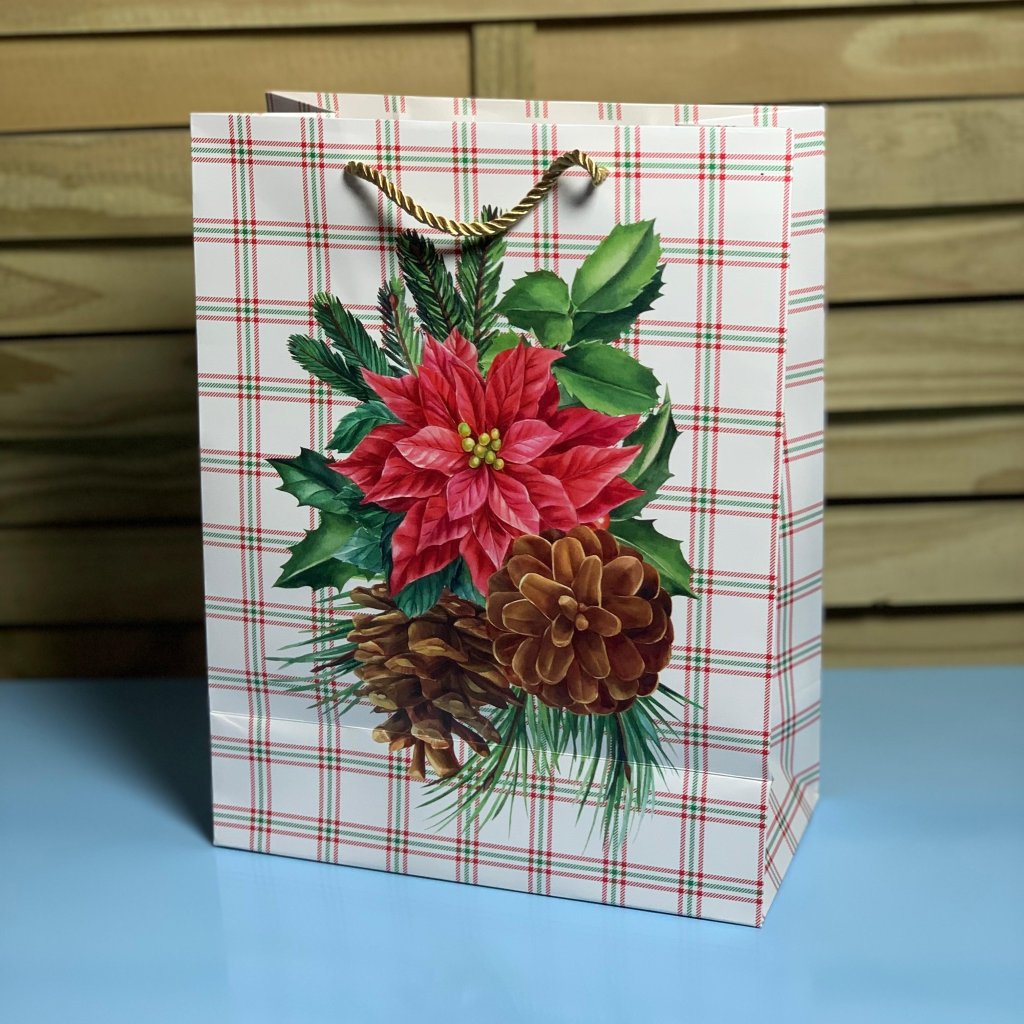 SCX0089 SACOLA PARA PRESENTE DE PAPEL 240 24X31X12CM 980611