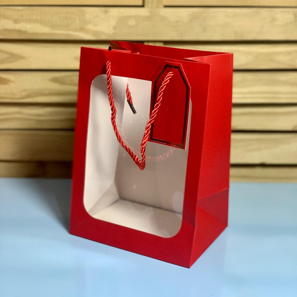 SACOLA PARA PRESENTE DE PAPEL 25X18X13CM SORTIDA 501737