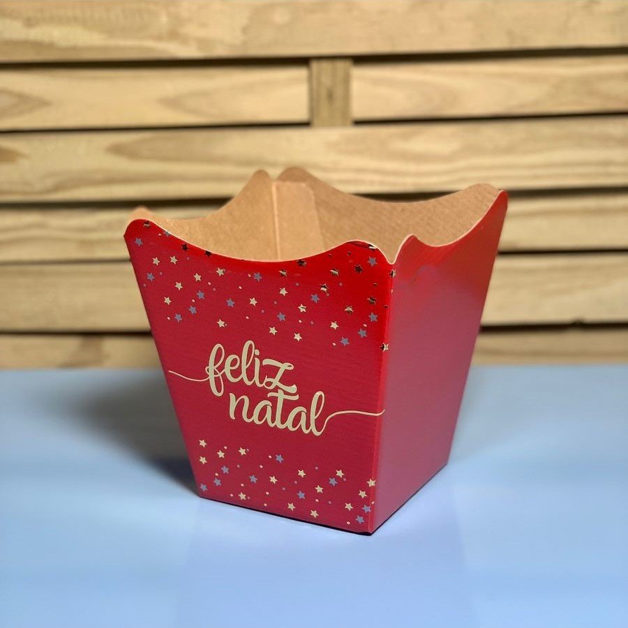 CACHEPOT PAPER POTE 15 HOTSTAMPING CONSTELACAO 10UN 407336