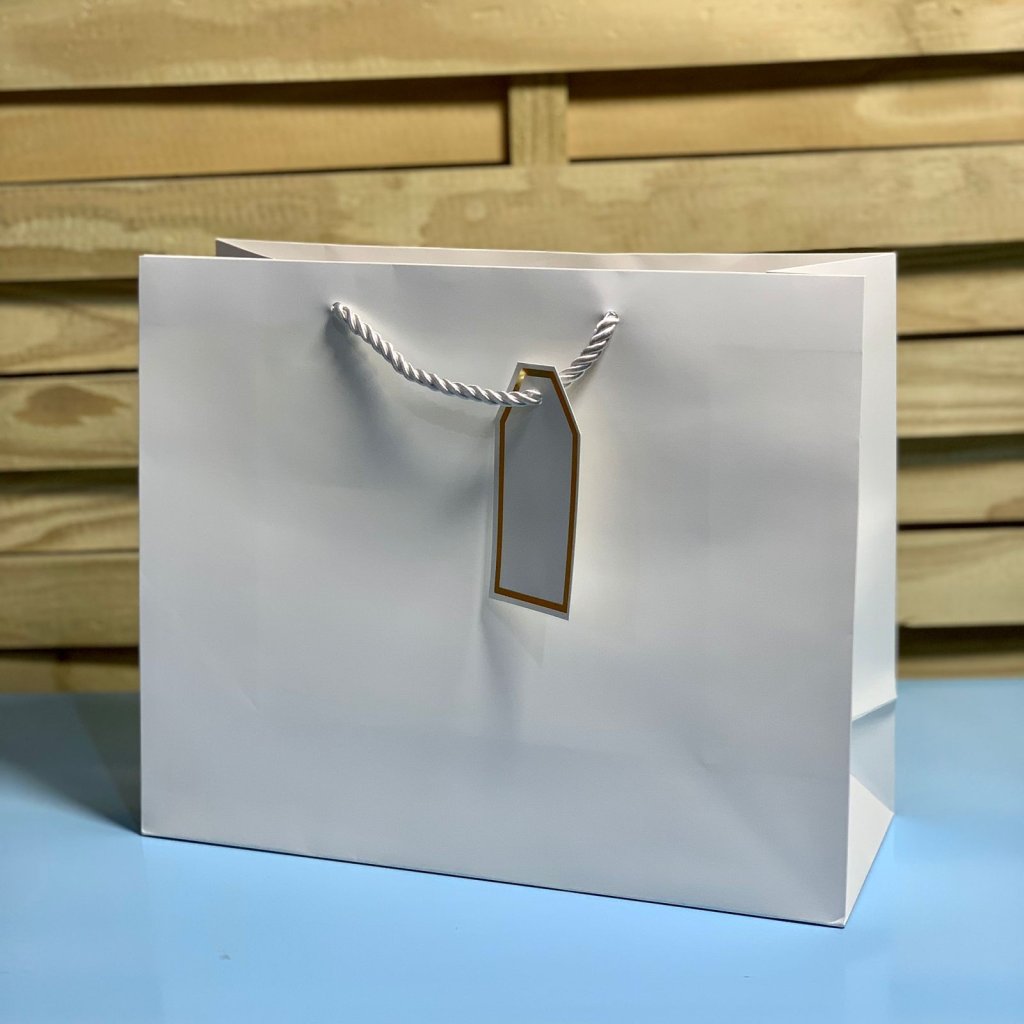 SACOLA PARA PRESENTE DE PAPEL 26X32X12CM SORTIDA 509740