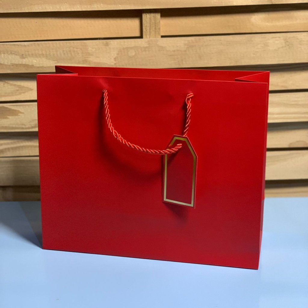 SACOLA PARA PRESENTE DE PAPEL 26X32X12CM SORTIDA 509740
