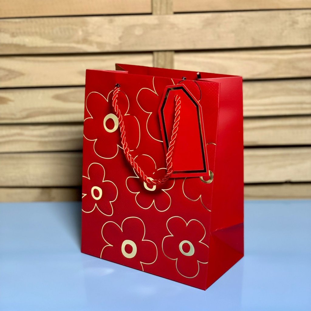 SACOLA PARA PRESENTE DE PAPEL 23X18X10CM 581500