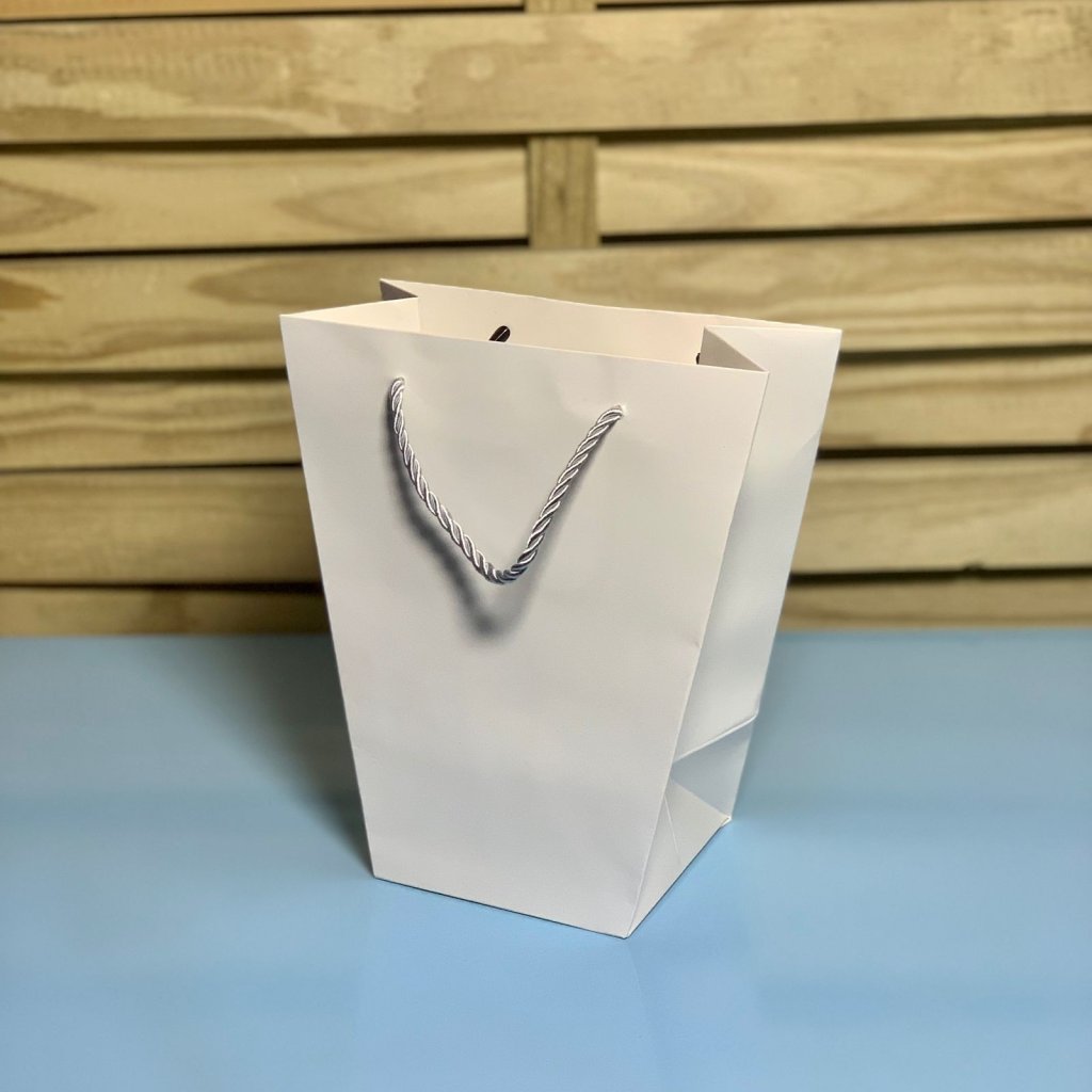 BOLSA DE PAPEL PARA PRESENTE 20CMX18CMX10CM C/12 055843
