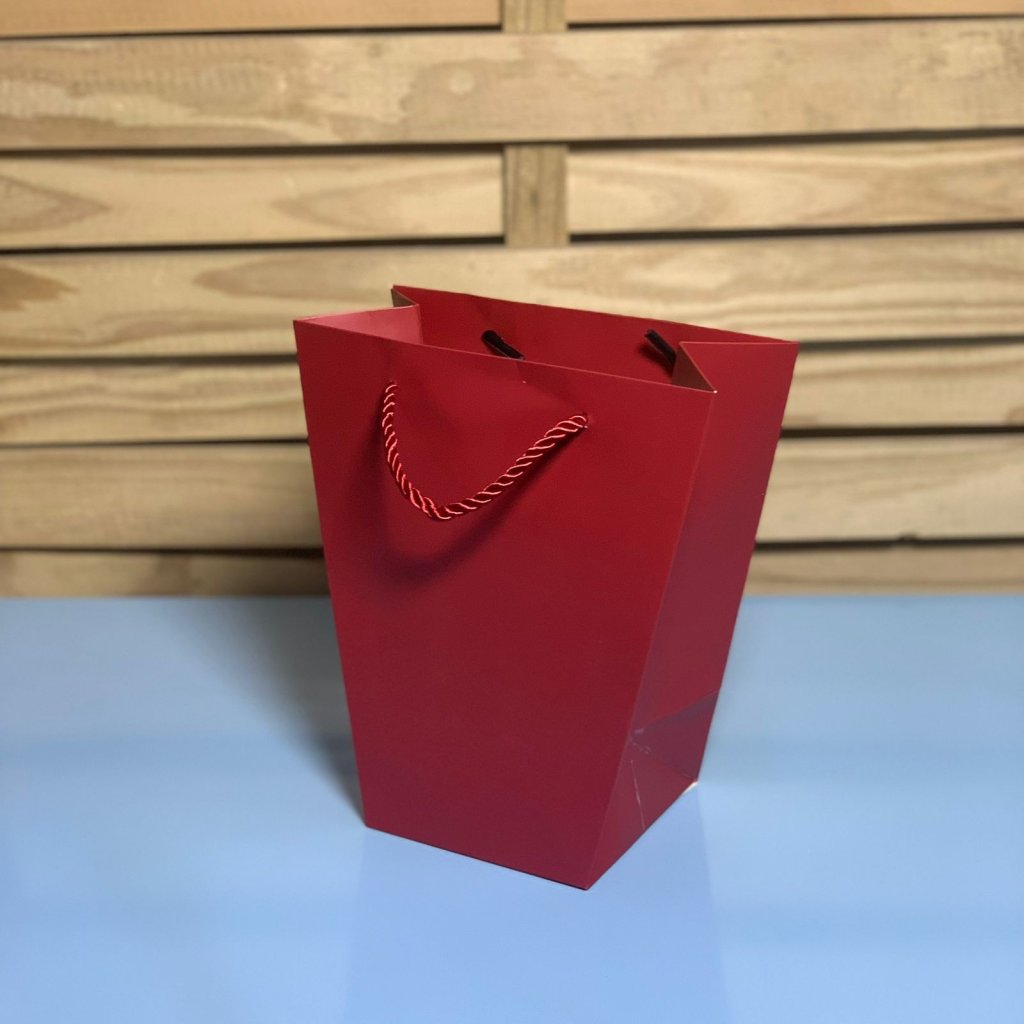 BOLSA DE PAPEL PARA PRESENTE 20CMX18CMX10CM C/12 055843